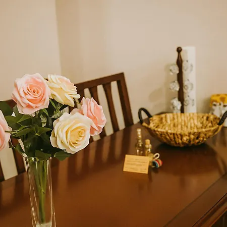 Apartment Maya - Downtown - & Relax Near Lift *